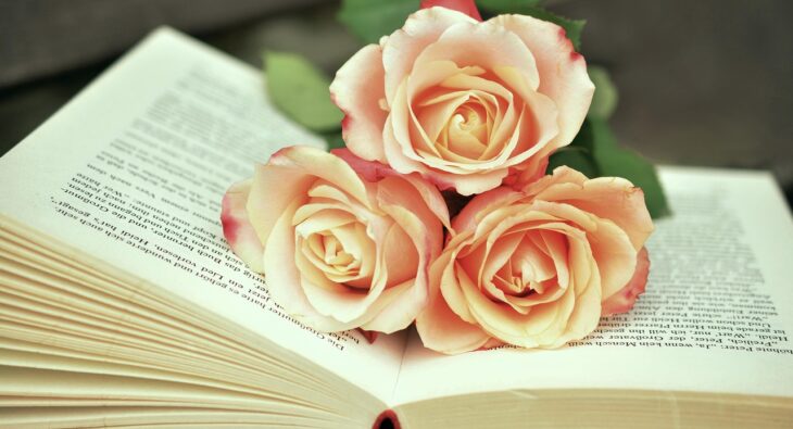 Odkryj Magię Nauki z Nowymi, Interaktywnymi Podręcznikami dla Czwartoklasisty! Czy Twoje Dziecko Jest Gotowe?